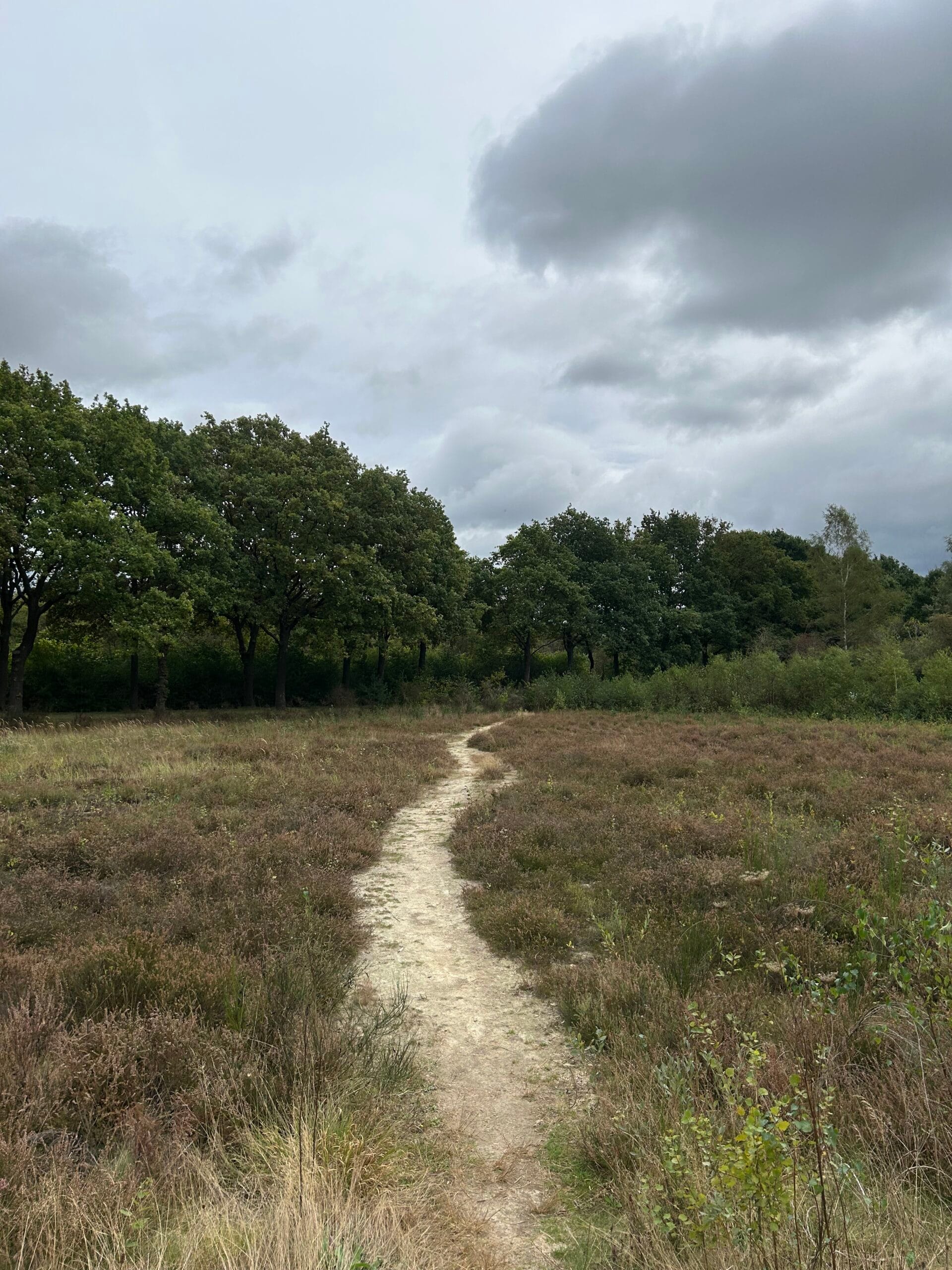 Misty Lakes Trail 55 KM